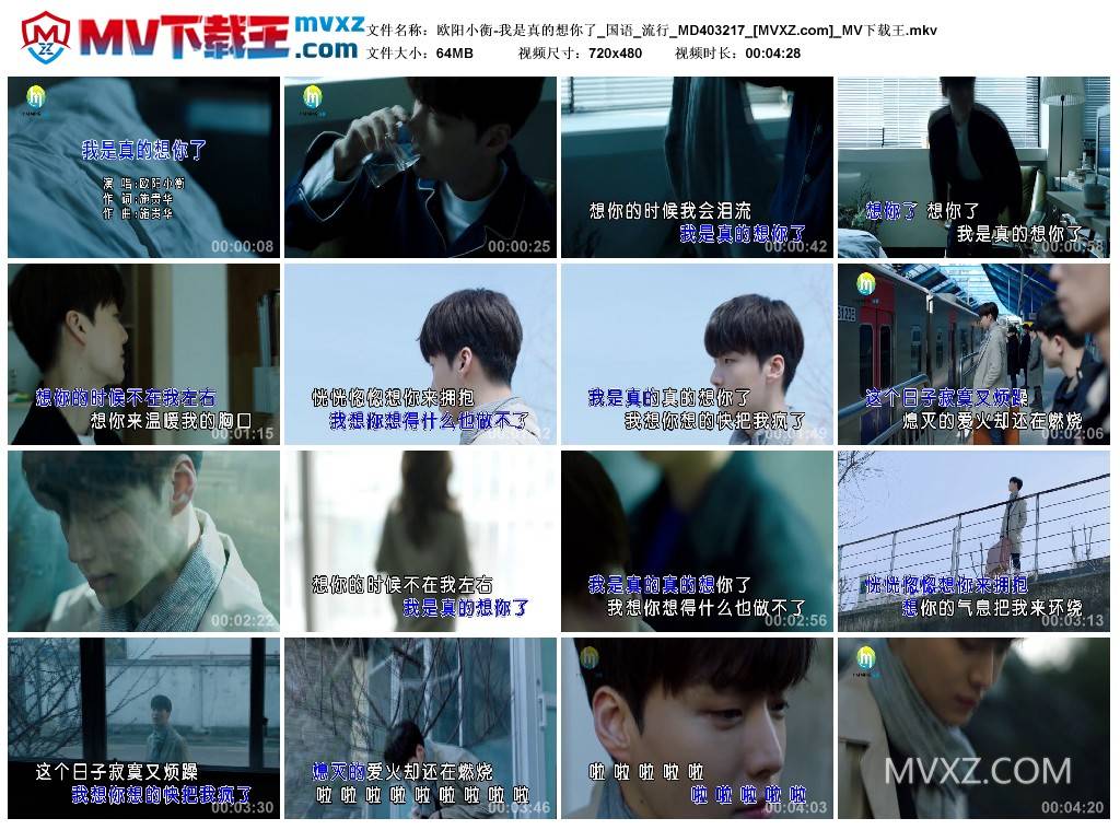 欧阳小衡-我是真的想你了_国语_流行_MD403217